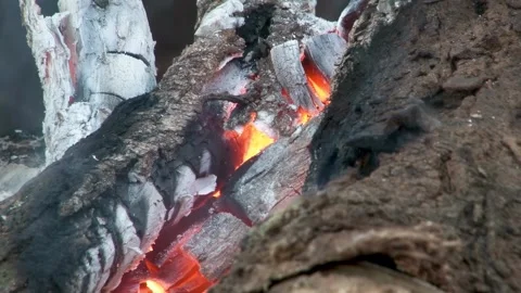 Close-up of Burning Wood Fire with Glowing Embers and White Ash, bright ora.. Stock Footage 332723415