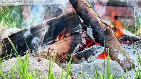 Close Up Burning Wood Fire Logs with Flame and Smoke Outdoors Stock Footage 342079672
