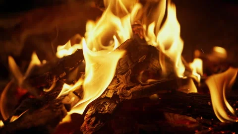 Close-up of burning wood. Stock Footage 313299606