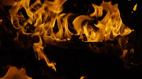 Close-Up Burning Wood Logs with Flames in Dark Fireplace Stock Footage 346175667