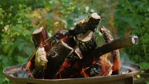 Close up of burning wood logs in a metallic fire pit outdoors in nature 動画素材 342376392
