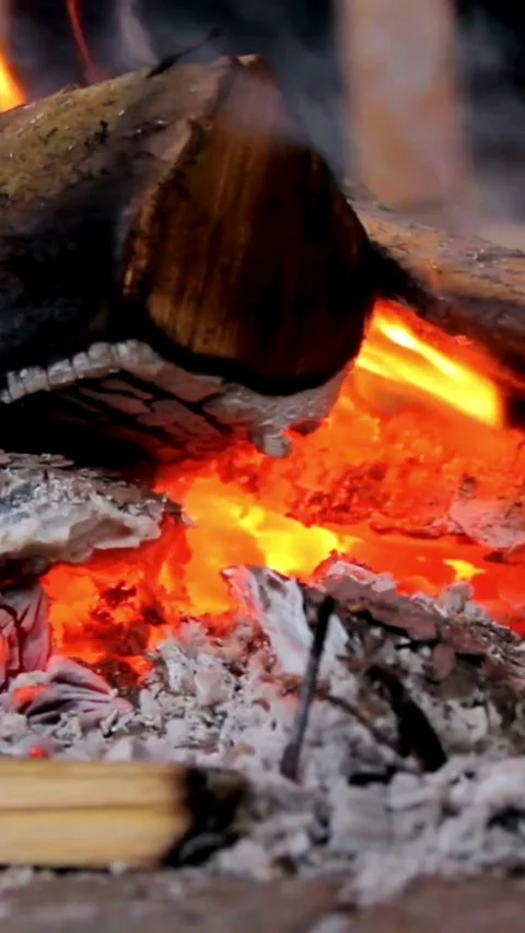 Close up of burning wood logs with orange flames Video stock 334168987