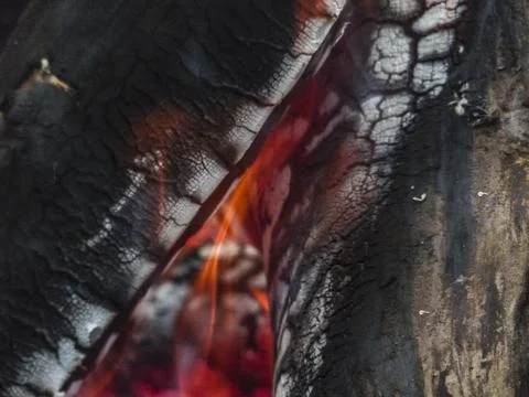 Close-up of Burning Wood Stock Photos