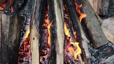 Close up of Burning Wooden Logs . Camping Fire Stock Footage 76940076