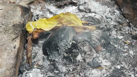 Close up of burning yellow dry grass Stock Footage 296072852