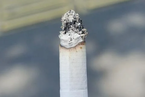 A close-up of a burnt cigarette with ash on top, against a blurred background Stock Photos