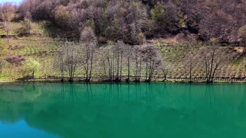 Close-Up of Burnt Trees Reflected in Crystal Lake Water 4K Vídeos de archivo 339065963