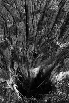 Close-up of burnt wood Stock Photos