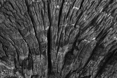 Close-up of burnt wood 스톡 사진