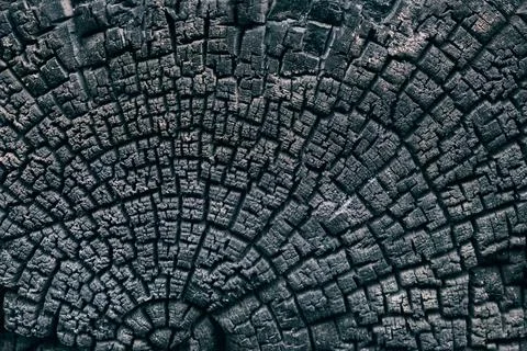 Close-up of burnt wood texture Stock-Fotos
