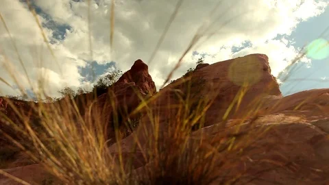 Close up on a bush with rocky mountain in the background Stock Footage 73665252