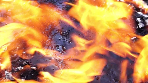 Close up: Bushfire burning fire fighting 動画素材 220173400