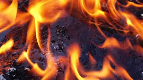 Close up: Bushfire burning fire fighting Stock Footage 220173523