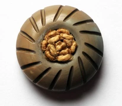 Close up on button isolated Stock Photos