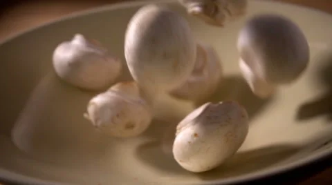 Close up button mushrooms falling into bowl, slow motion Stock Footage 55256138