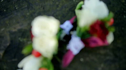 Close up of Buttonhole on wooden Stock Footage 65742941