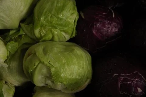 Close Up Cabbage Photo - Background Stock Photos