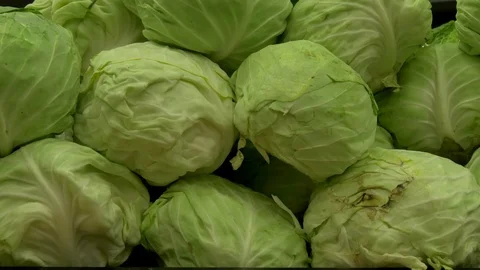 Close up of cabbages Stock Footage 73888822