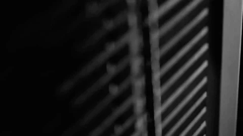 Close-up of cable-pull machine in use at gym. Black-and-white shot Stock-Footage 73988467