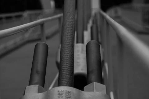 Close-up of a cable-stayed bridge in Owinska with the structural elements of the Stock Photos