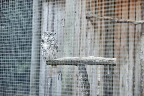 A close up of a cage Stock Photos