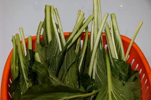 Close up caisim leaf Foto stock