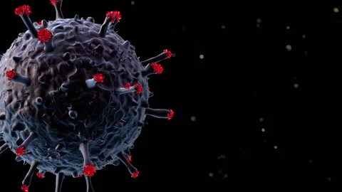 A close up of a cake 库存影片 157755770