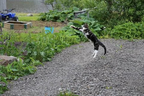 Close call 스톡 사진