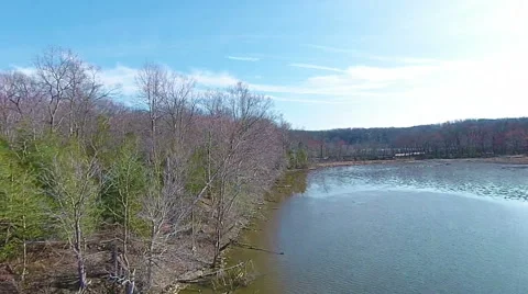 A close call with a tree Video stock 48271976