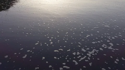 Close up of calm atlantic ocean waves foam slowly covering wide beach with Video stock 123039701