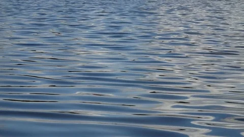 Close up of the calm blue water of a lake. Stock Footage 78874312