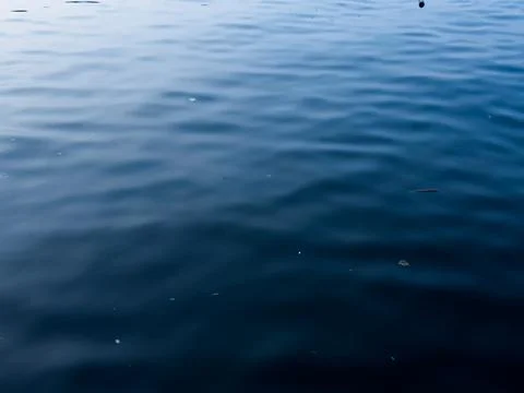 Close up of calm ocean water featuring smooth ripples Stock Photos