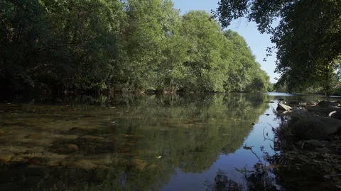 Close up of calm river with trees and clear blue sky, Portugal Stock-Footage 128927042