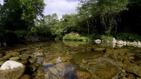 Close up of calm river with trees and clear blue sky, Portugal Stock Footage 128966573