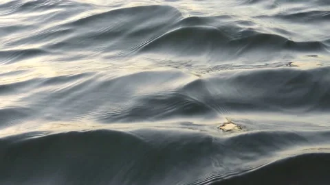 Close up calm river water seamless flowing rippling choppy wave pattern texture Stock Footage 201687947