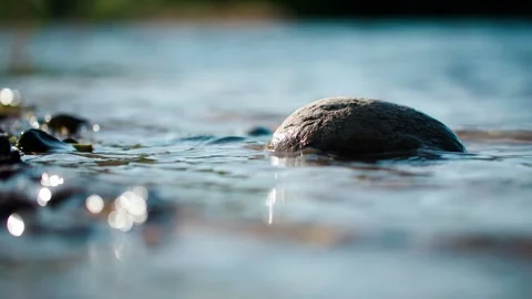Close-up of calm water. Vídeo Stock 295419922