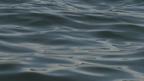 Close up of Calm Waves Stock Footage 124048081
