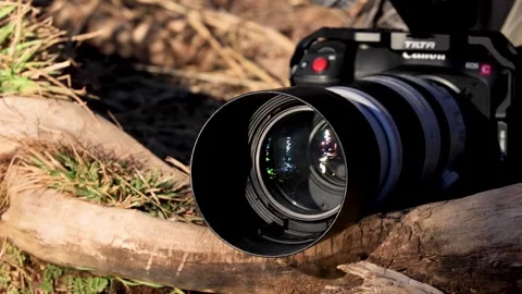 Close up of Camera Laying on Branches Fi... | Stock Video | Pond5