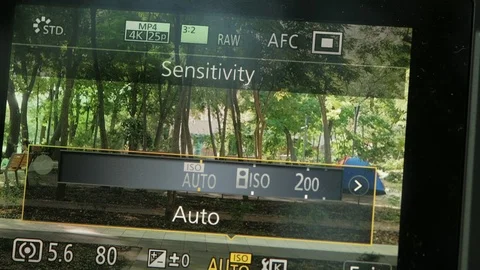 Close up of camera LCD screen as high ISO is set. Stock Footage 116962501