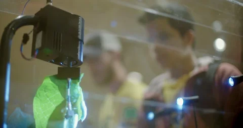 Up Close Camera on a Leaf and a Caterpillar Stock-Footage 104781975