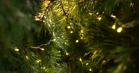 Close up camera moves between branches of Christmas tree decorated with lighting Stock Footage 164467750
