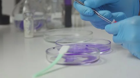 Close-up. The camera moves. Laboratory studies with preparations and catalysts Stock Footage 260938501