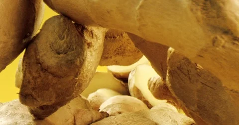 Close up of camera moving inside a pile of fresh ginger. Видео 124012113