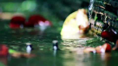 Close-up camera shot of Clear Water flowing in a pond Stock-Footage 259068836