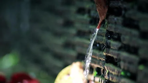 Close-up camera shot of Clear Water flowing in a pond Video stock 259070122