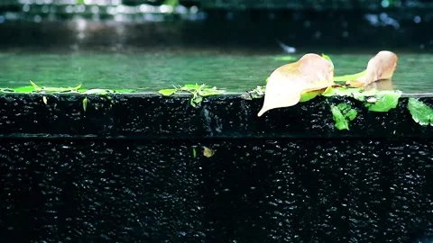 Close-up camera shot of Clear Water flowing in a pond Stock Footage 259076251