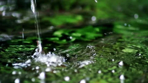 Close-up camera shot of Clear Water flowing in a pond Stock-Footage 259077547