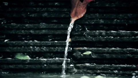 Close-up camera shot of Clear Water flowing in a pond Stock Footage 259078261