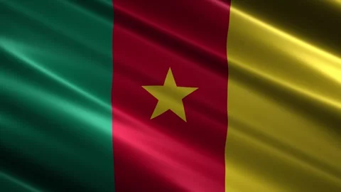 Close up of the Cameroon flag blowing in the wind Stock Footage 348685067