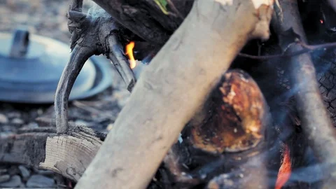 Close up of camp fire burning logs. Stock Footage 116956182